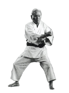 funakoshi tekki