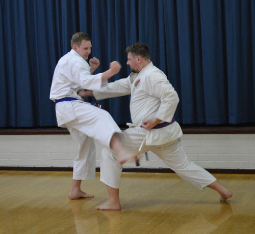 our-style-of-karate-1